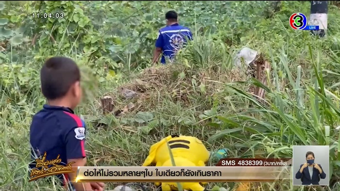 ภาพสะเทือนใจ ภาพสะเทือนใจ