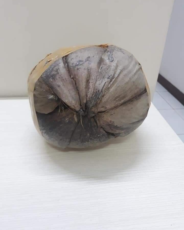 มิติใหม่แห่งการแพ็กกิ้ง ! มิติใหม่แห่งการแพ็กกิ้ง !