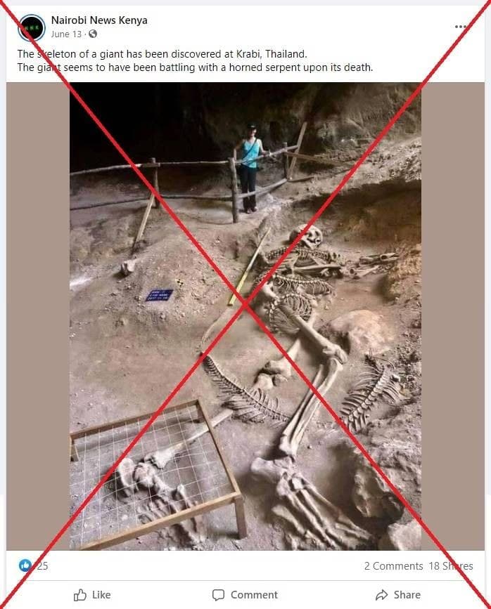 โครงกระดูก โครงกระดูก