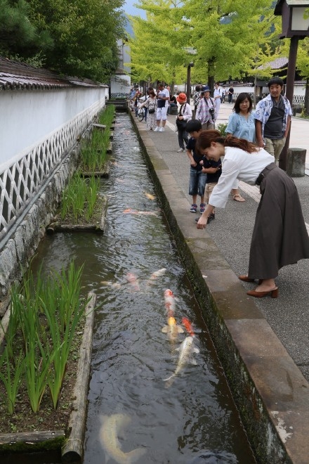 เมืองจำลองญี่ปุ่น เมืองจำลองญี่ปุ่น