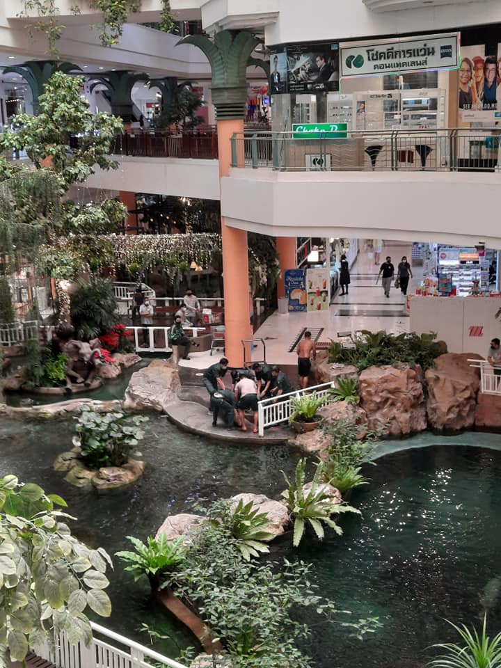 น้องกลับดาวปลาแล้ว... น้องกลับดาวปลาแล้ว...