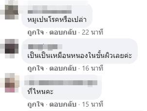 ฝีหนองหมู ฝีหนองหมู