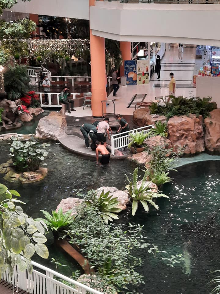 น้องกลับดาวปลาแล้ว... น้องกลับดาวปลาแล้ว...