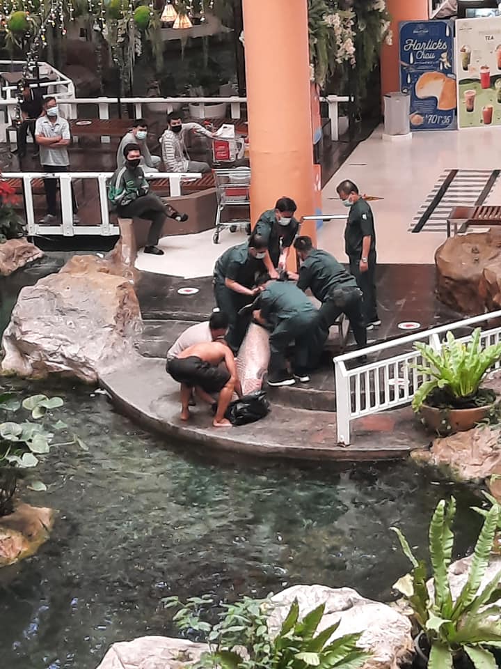 น้องกลับดาวปลาแล้ว... น้องกลับดาวปลาแล้ว...