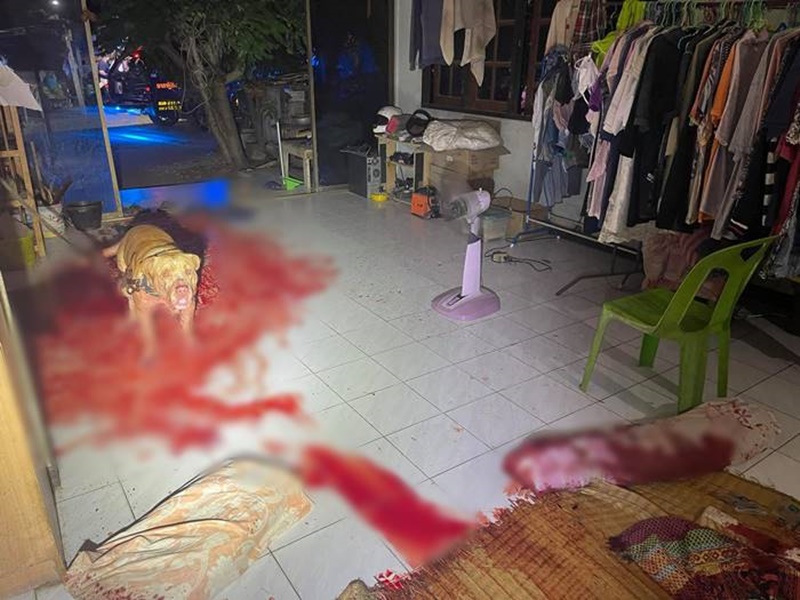 หมาแบนด็อกกัดเจ้าของ หมาแบนด็อกกัดเจ้าของ