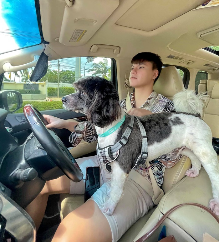 บูม หมูทะ บูม หมูทะ