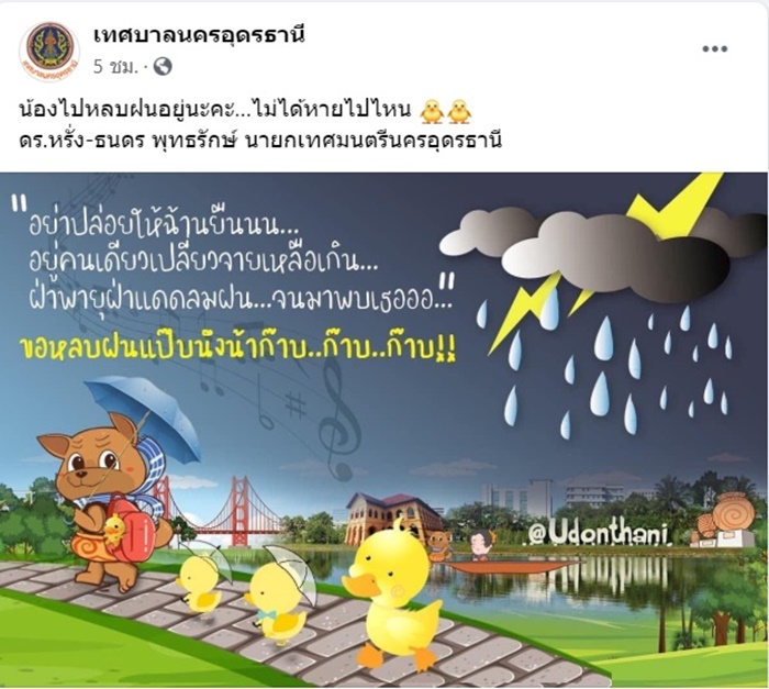 เป็ดเหลือง เป็ดเหลือง