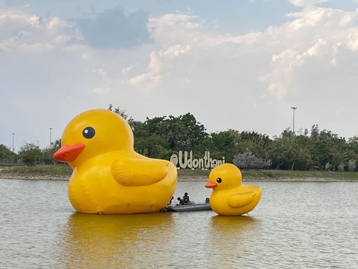 เป็ดเหลือง เป็ดเหลือง