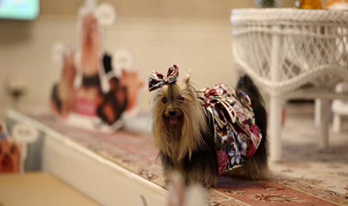 สมเด็จพระเจ้าลูกเธอ เจ้าฟ้าสิริวัณณวรี สมเด็จพระเจ้าลูกเธอ เจ้าฟ้าสิริวัณณวรี