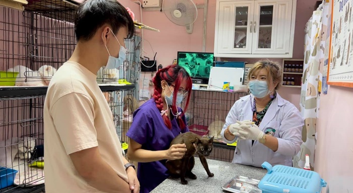 สุดสงสาร นั่งรอเจ้าของไม่รู้ถูกทิ้ง สุดสงสาร นั่งรอเจ้าของไม่รู้ถูกทิ้ง