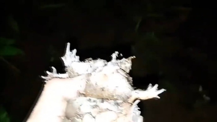 ต้มอึ่งพร้อมทาน ต้มอึ่งพร้อมทาน