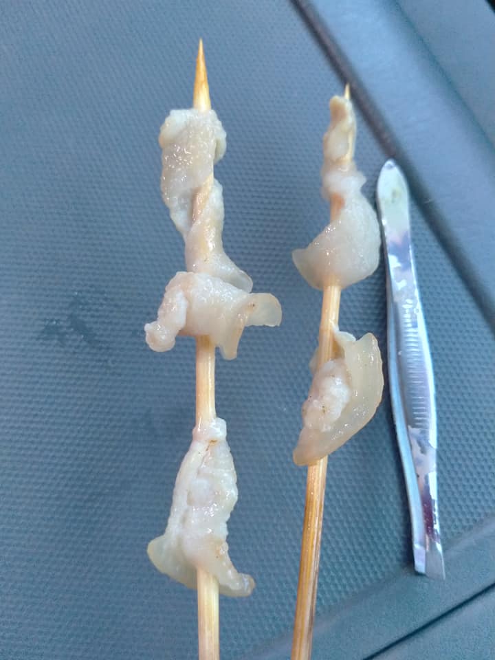 หมูปิ้ง วิญญาณหมู หมูปิ้ง วิญญาณหมู