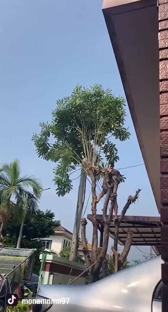 ปัญหาเพื่อนบ้าน ปัญหาเพื่อนบ้าน