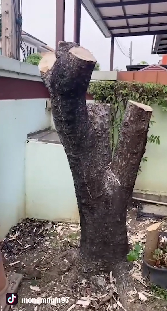 ปัญหาเพื่อนบ้าน ปัญหาเพื่อนบ้าน