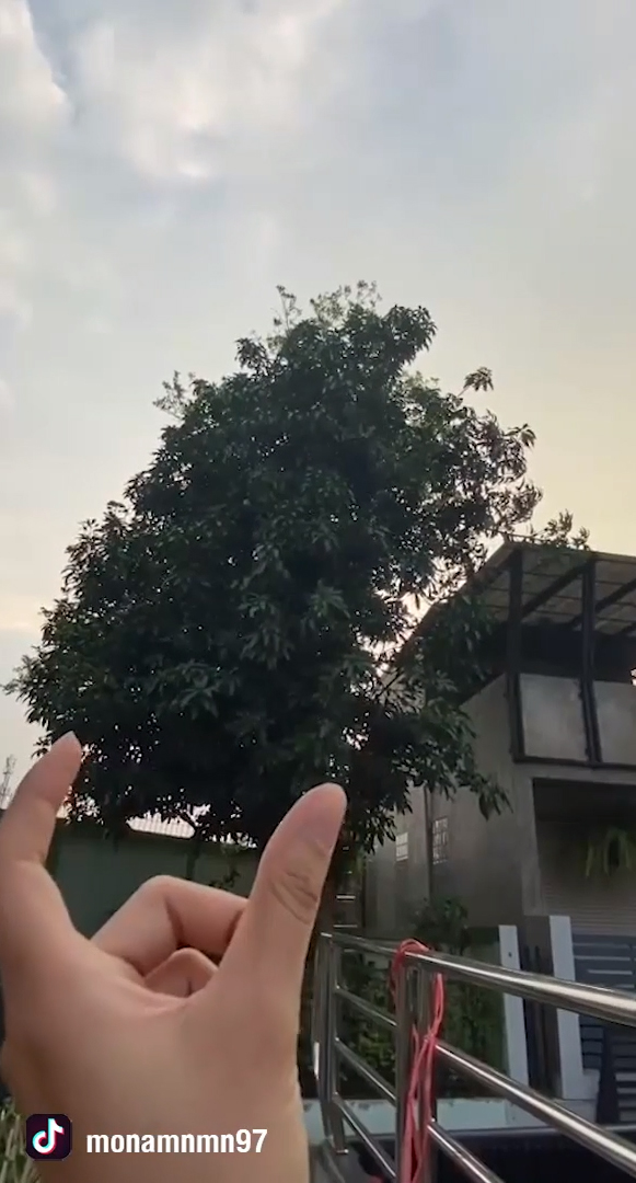 ปัญหาเพื่อนบ้าน ปัญหาเพื่อนบ้าน