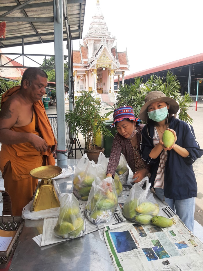พระขายมะม่วง พระขายมะม่วง