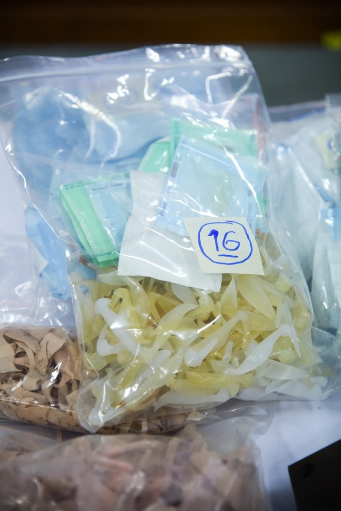 ทลายโรงงานซิลิโคนเถื่อน ทลายโรงงานซิลิโคนเถื่อน