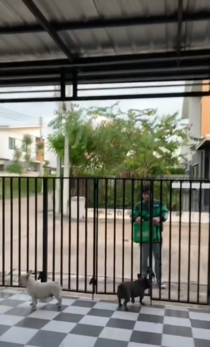 น้องไม่ดุ น้องไม่ดุ