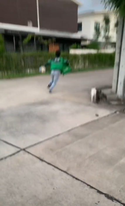 น้องไม่ดุ น้องไม่ดุ