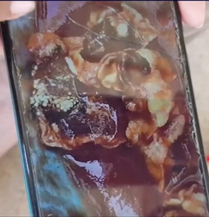 สิ่งแปลกปลอมในอาหาร สิ่งแปลกปลอมในอาหาร