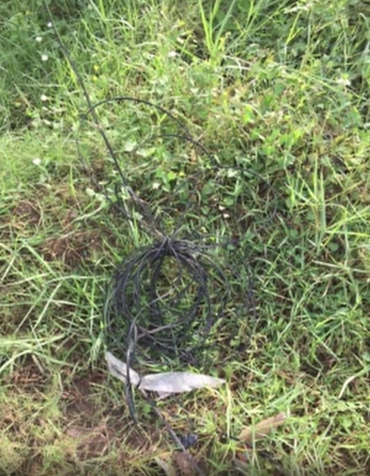 เหยื่อสายไฟเกี่ยวคอ เหยื่อสายไฟเกี่ยวคอ