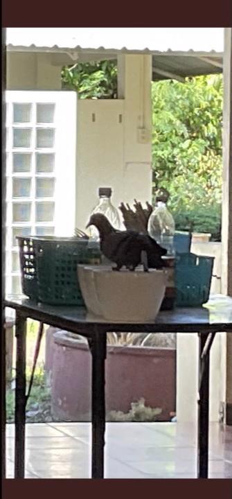 อบรมธรรมะ แต่เจอลัทธิ... !? อบรมธรรมะ แต่เจอลัทธิ... !?