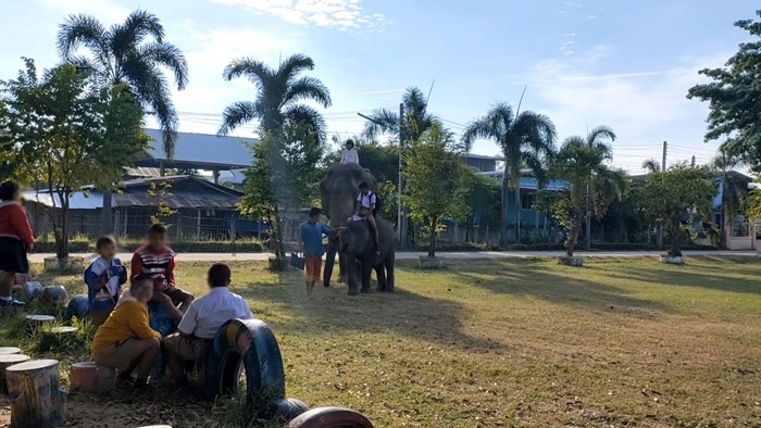 ขี่ช้างไปโรงเรียน ขี่ช้างไปโรงเรียน