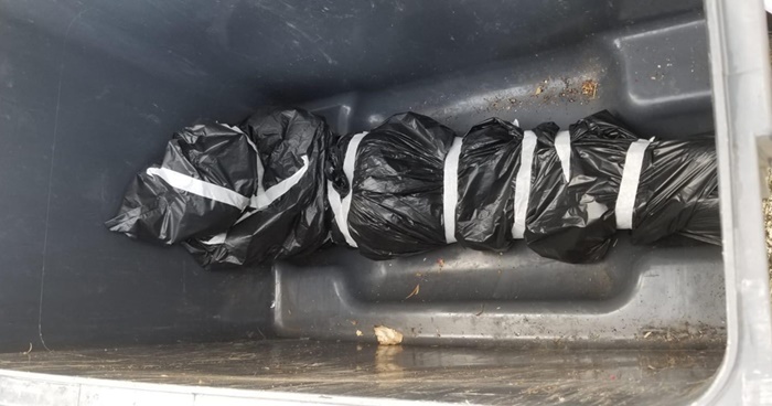 ผวาใจแทบหล่น ผวาใจแทบหล่น