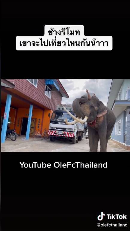 ขี่ช้างไปโรงเรียน ขี่ช้างไปโรงเรียน