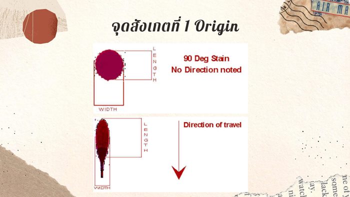 คณิตศาสตร์ คณิตศาสตร์