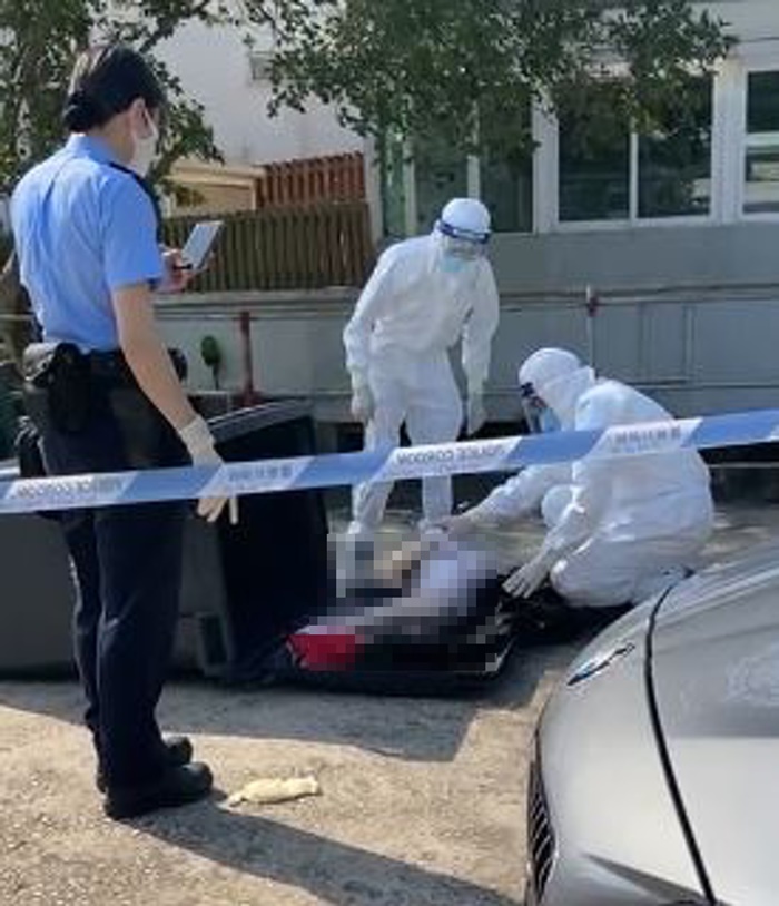 ผวาใจแทบหล่น ผวาใจแทบหล่น