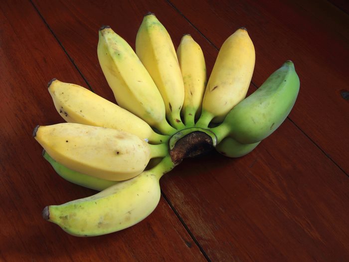 กล้วย กล้วย