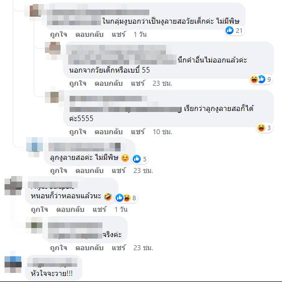 หลอนกว่าเจอหนอนอีก หลอนกว่าเจอหนอนอีก หลอนกว่าเจอหนอนอีก หลอนกว่าเจอหนอนอีก