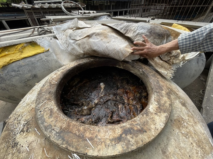 หมูตายยกฟาร์ม หมูตายยกฟาร์ม