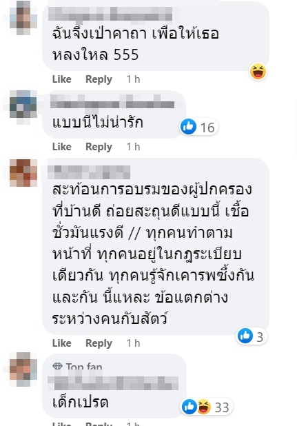 อบรม อบรม