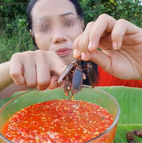 เปิบพิสดาร เปิบพิสดาร