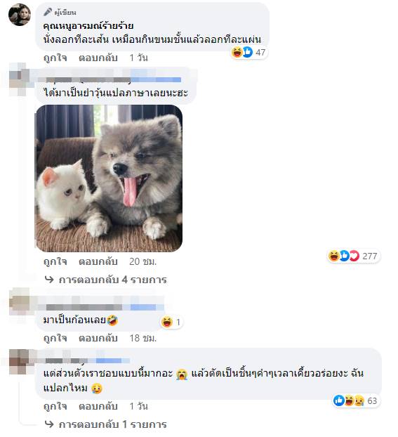 ยำวุ้นเส้น ยำวุ้นเส้น