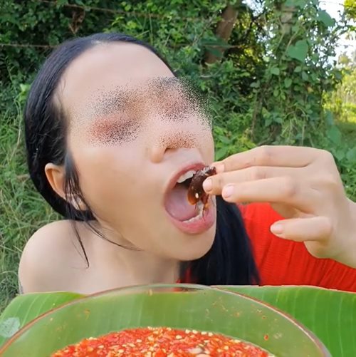 เปิบพิสดาร เปิบพิสดาร