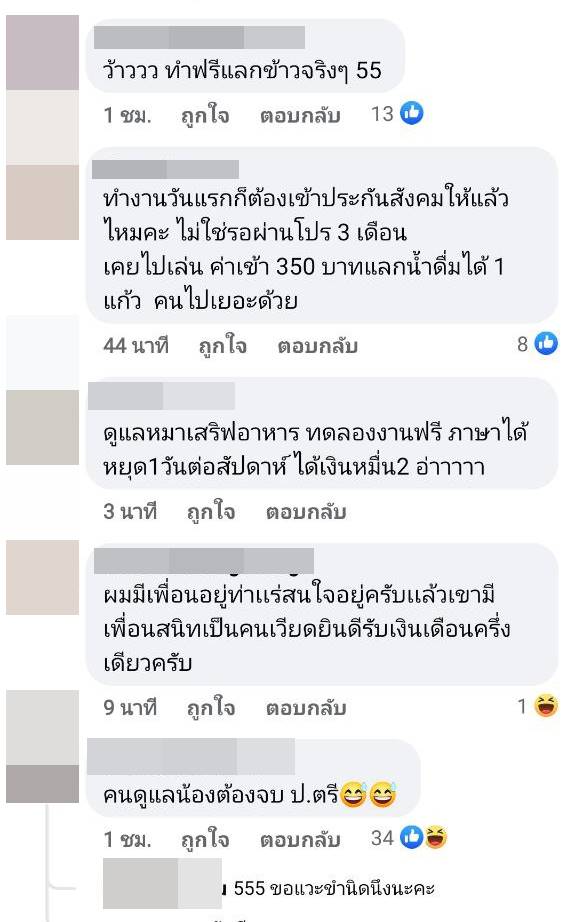 รับสมัครงาน รับสมัครงาน