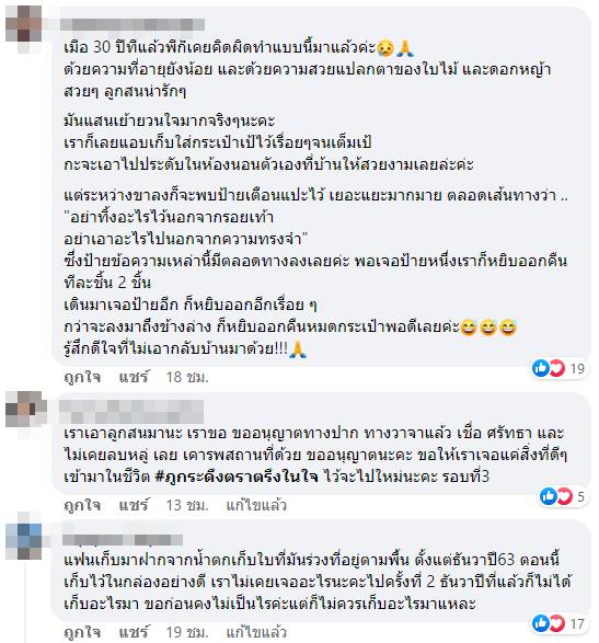 อาถรรพ์ใบเมเปิ้ล อาถรรพ์ใบเมเปิ้ล