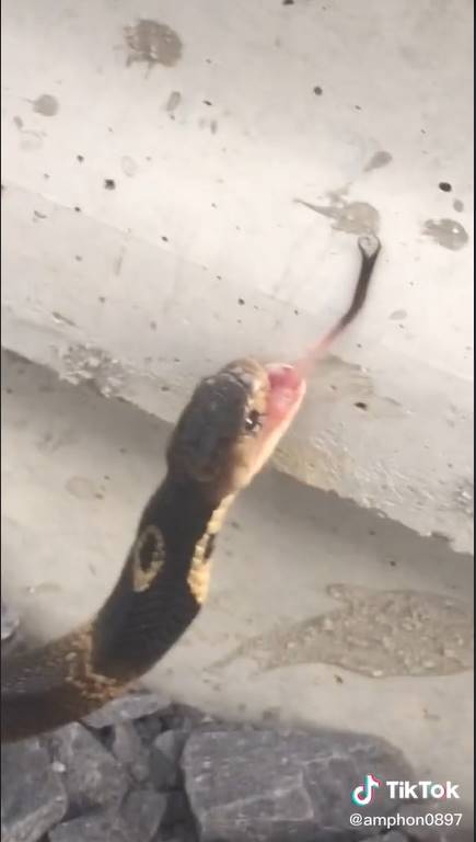 นุด...ช่วยเราก่อน... นุด...ช่วยเราก่อน...