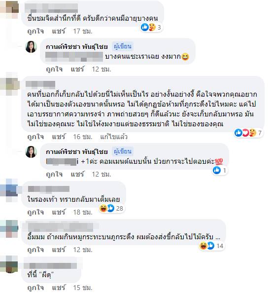 อาถรรพ์ใบเมเปิ้ล อาถรรพ์ใบเมเปิ้ล