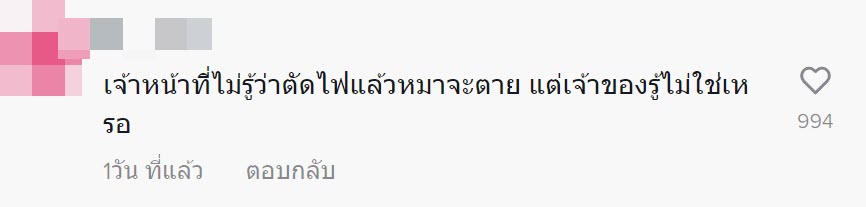 หมาตาย หมาตาย