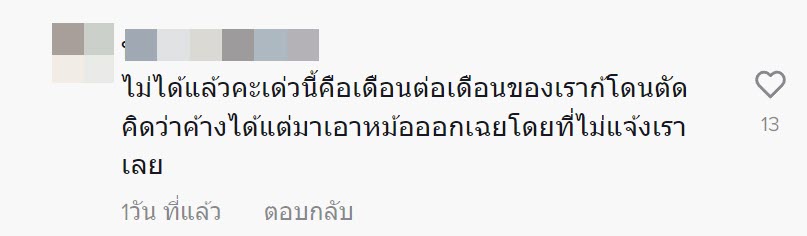 หมาตาย หมาตาย