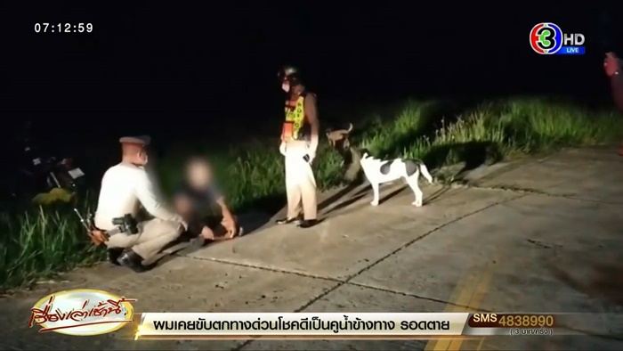 ทำร้ายหมา ทำร้ายหมา