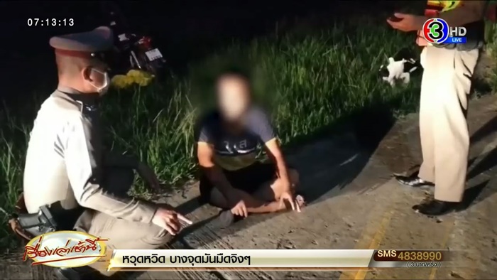 ทำร้ายหมา ทำร้ายหมา