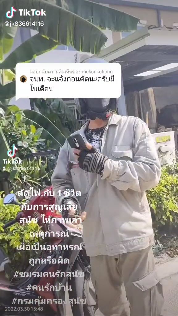 หมาตาย หมาตาย