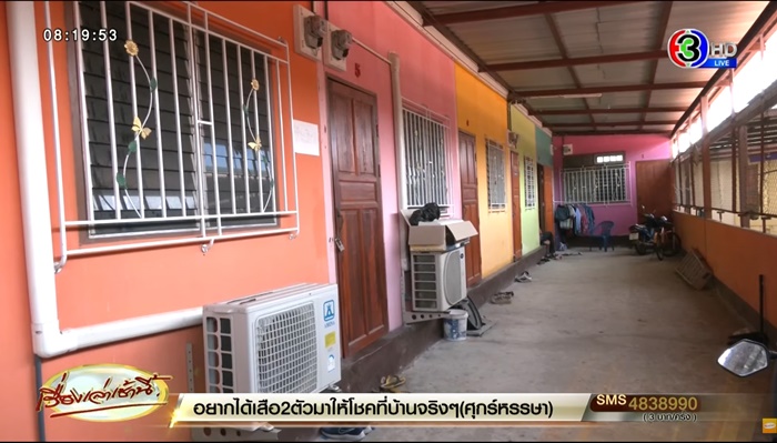 น้องกอหญ้า น้องกอหญ้า