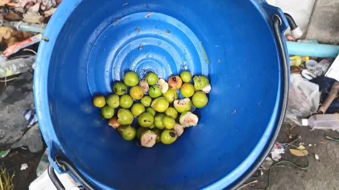 คนเร่ร่อน คนเร่ร่อน