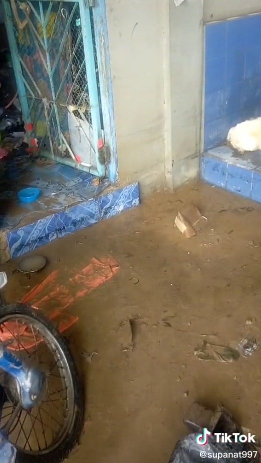 น้ำท่วม น้ำท่วม